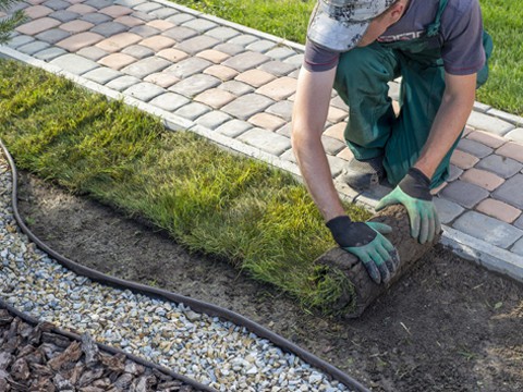 man removing grass bed